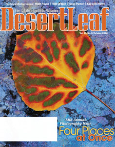 Desert Leaf-October 2026